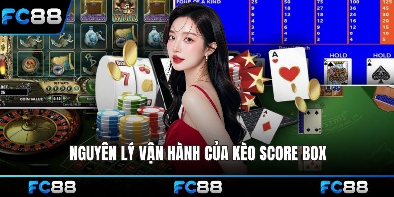 Nguyên lý vận hành của kèo Score Box